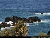 Portugal - Madere - Porto Moniz - 005